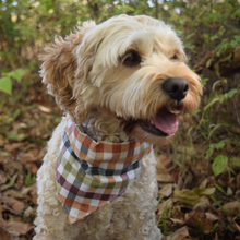 Load image into Gallery viewer, Fall Plaid Dog Bandana
