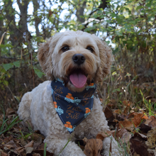 Load image into Gallery viewer, Hello Fall Dog Bandana