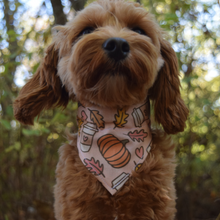 Load image into Gallery viewer, Falling for Fall Dog Bandana