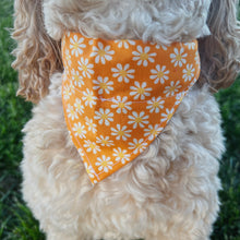 Load image into Gallery viewer, Orange Bloom Dog Bandana