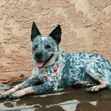 Load image into Gallery viewer, Texas Dog Bandana