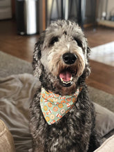 Load image into Gallery viewer, Coffee & Fall Dog Bandana