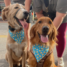 Load image into Gallery viewer, Beer Dog Bandana