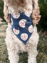 Load image into Gallery viewer, Winter Crunch Dog Bandana
