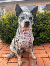 Load image into Gallery viewer, Tasty Christmas Dog Bandana