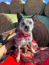 Load image into Gallery viewer, Red Calico Dog Bandana