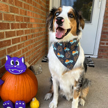 Load image into Gallery viewer, Hello Fall Dog Bandana