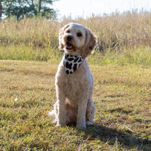 Load image into Gallery viewer, Moo Cow Dog Bandana